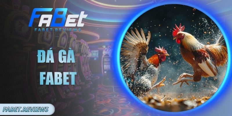 Đá Gà Fabet Có Gì Thú Vị Và Hấp Dẫn Với Các Cược Thủ Đá Gà Fabet Có Gì Thú Vị Và Hấp Dẫn Với Các Cược Thủ
