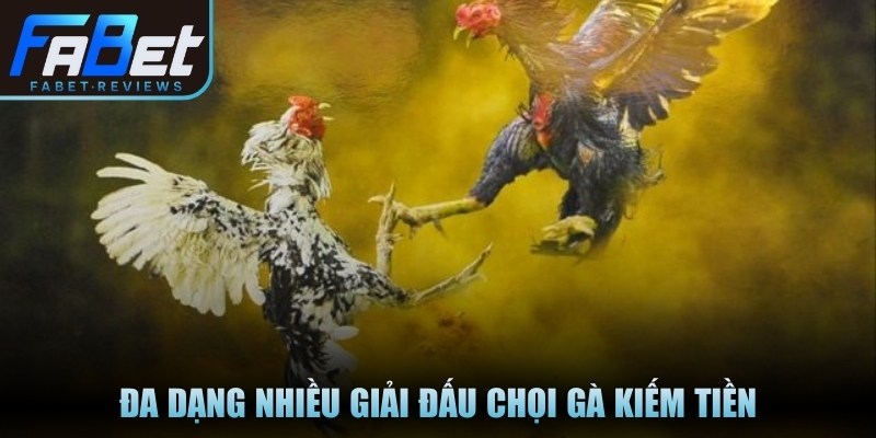 Đá Gà Fabet Có Gì Thú Vị Và Hấp Dẫn Với Các Cược Thủ Đa dạng nhiều giải đấu chọi gà kiếm tiền