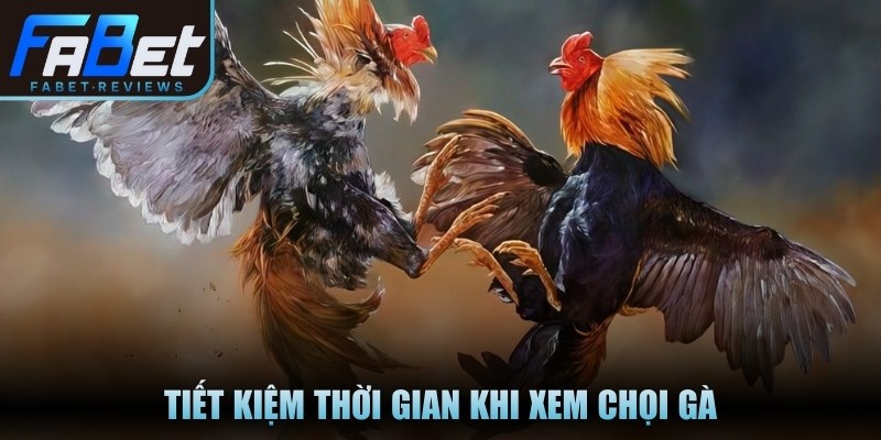 Đá Gà Fabet Có Gì Thú Vị Và Hấp Dẫn Với Các Cược Thủ Tiết kiệm thời gian khi xem chọi gà