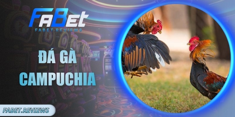 Đá Gà Campuchia Và Sức Hút Những Trận Chiến Đỉnh Cao Đá Gà Campuchia Và Sức Hút Những Trận Chiến Đỉnh Cao