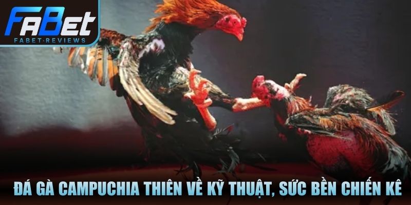 Đá Gà Campuchia Và Sức Hút Những Trận Chiến Đỉnh Cao Trận chiến đá gà Campuchia thiên về kỹ thuật, sức bền chiến kê